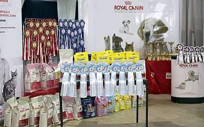 �������� ����� '���-�����-������' 22-23 ������ 2014 169A7868 copy.jpg